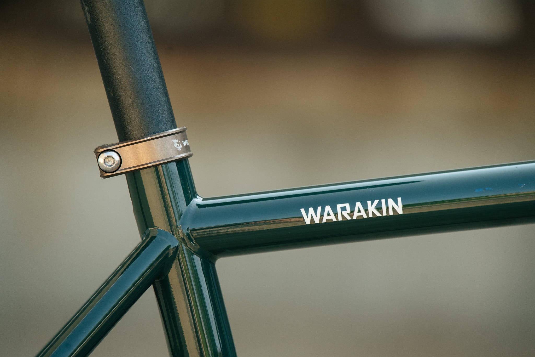 Warakin Racing Green - 54cm - 1x12 Rival AXS Mullet - Review Bike
