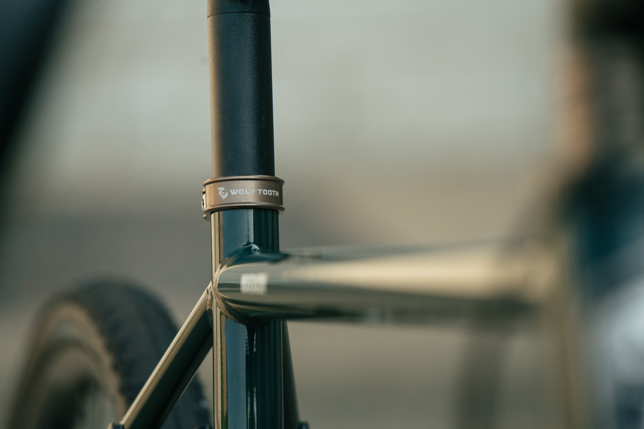 Warakin Racing Green - 54cm - 1x12 Rival AXS Mullet - Review Bike