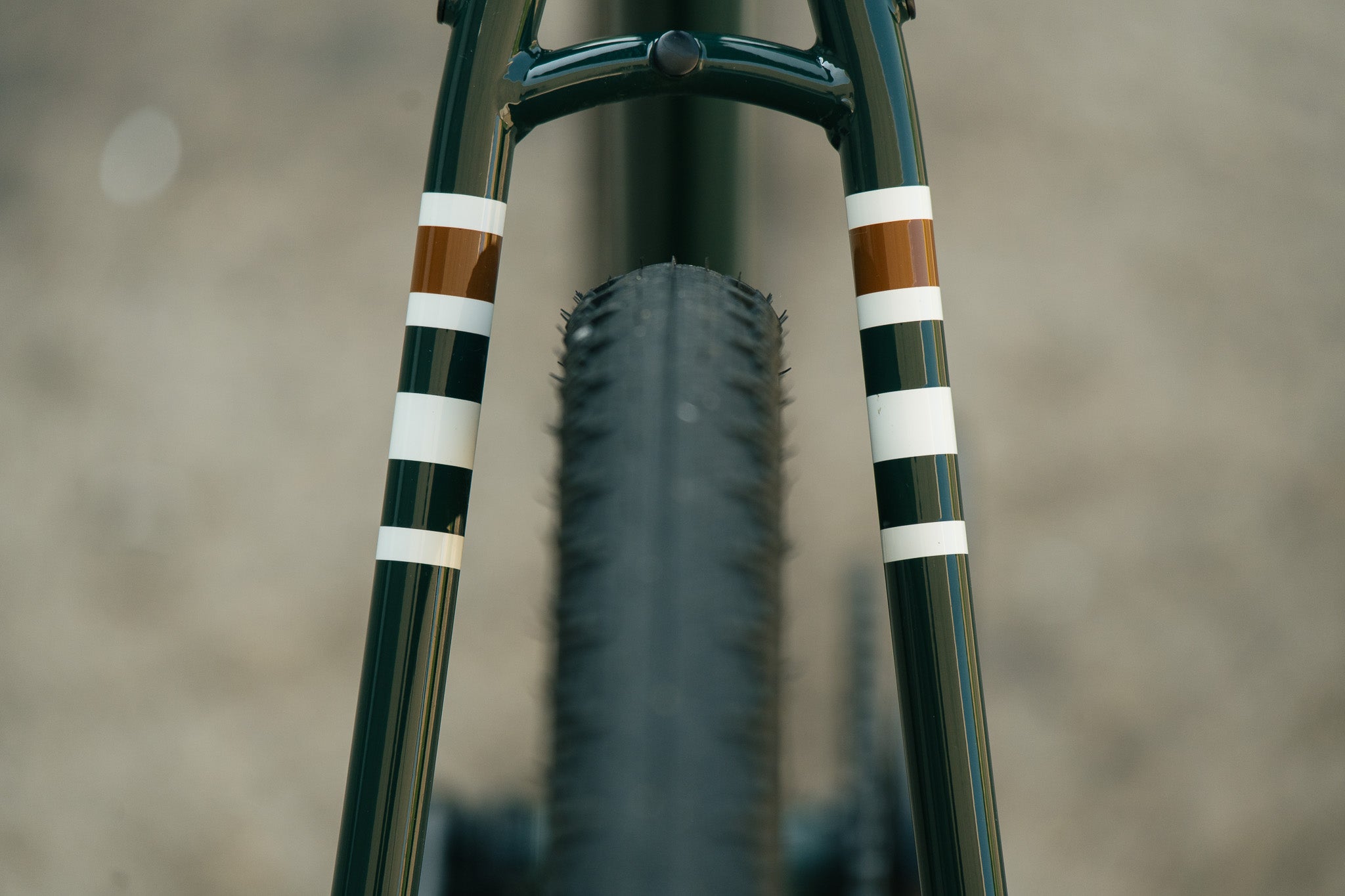 Warakin Racing Green - 54cm - 1x12 Rival AXS Mullet - Review Bike