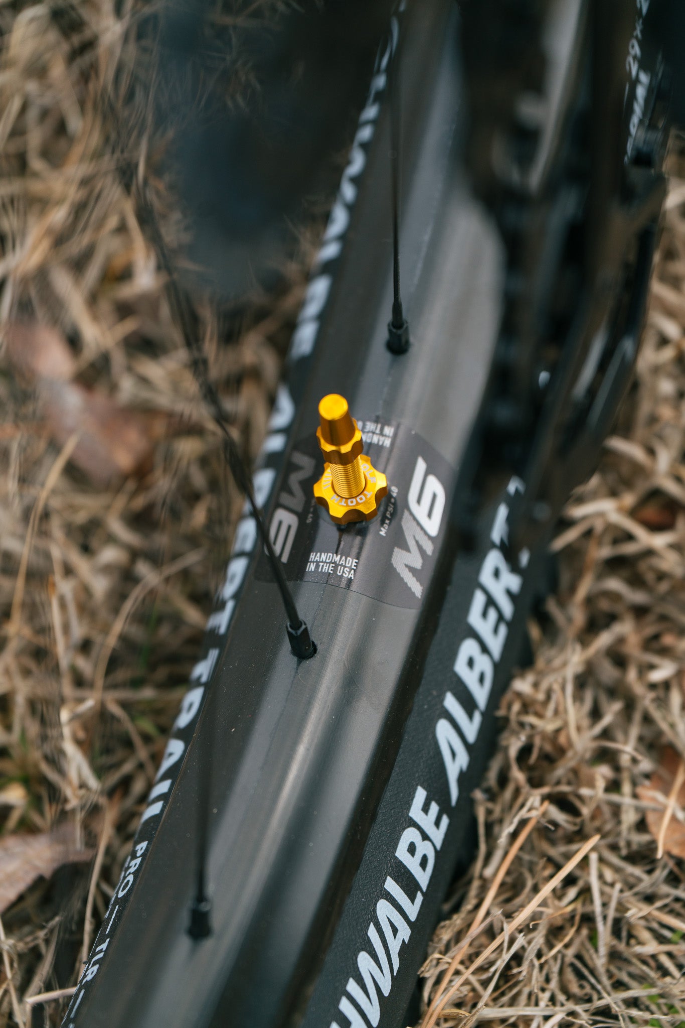 Hoot Ti - Large - SRAM XO T-Type - Fancy Show Bike!