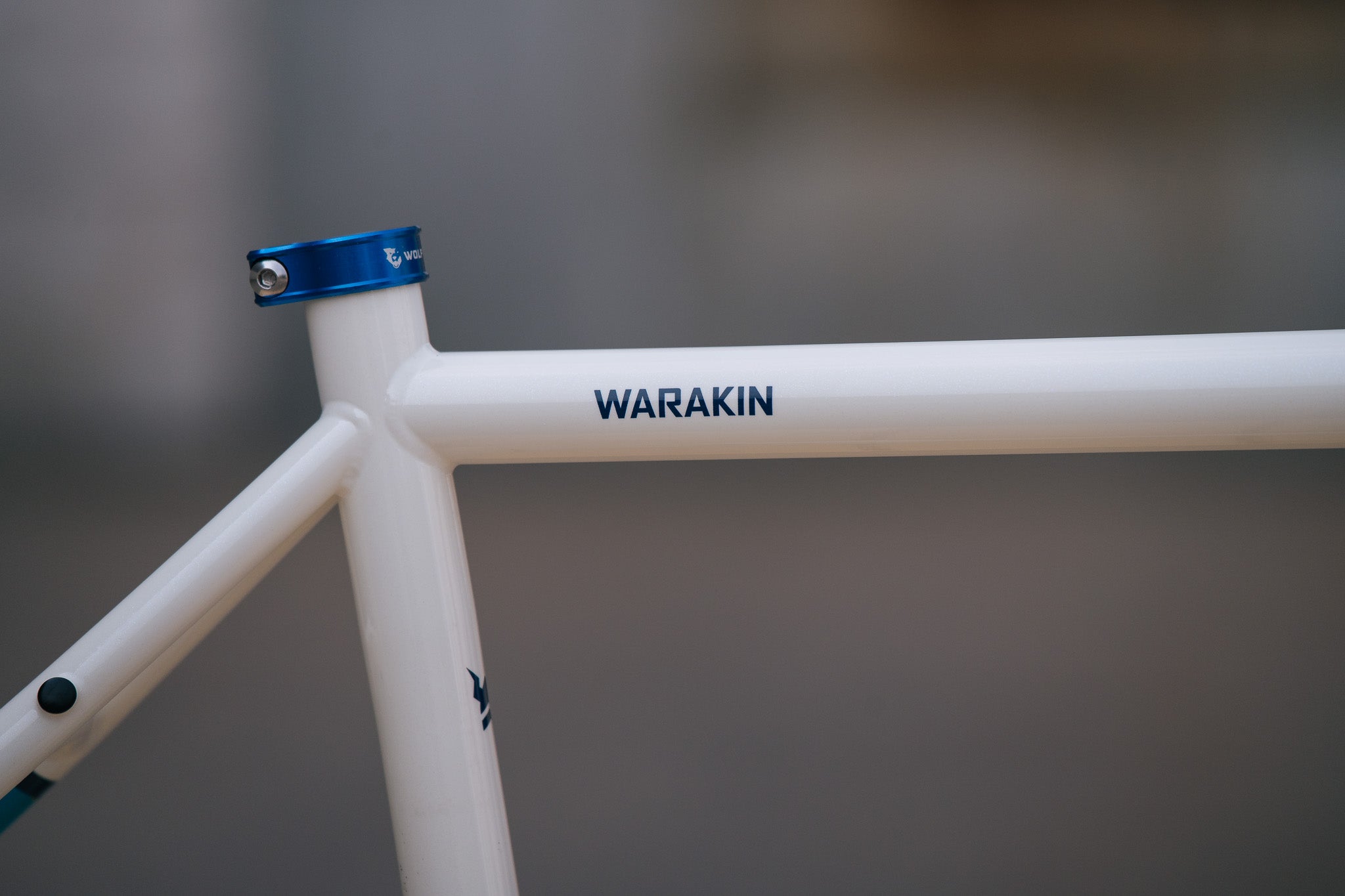 Warakin - 56cm - Teal Snow - Frameset - Blem
