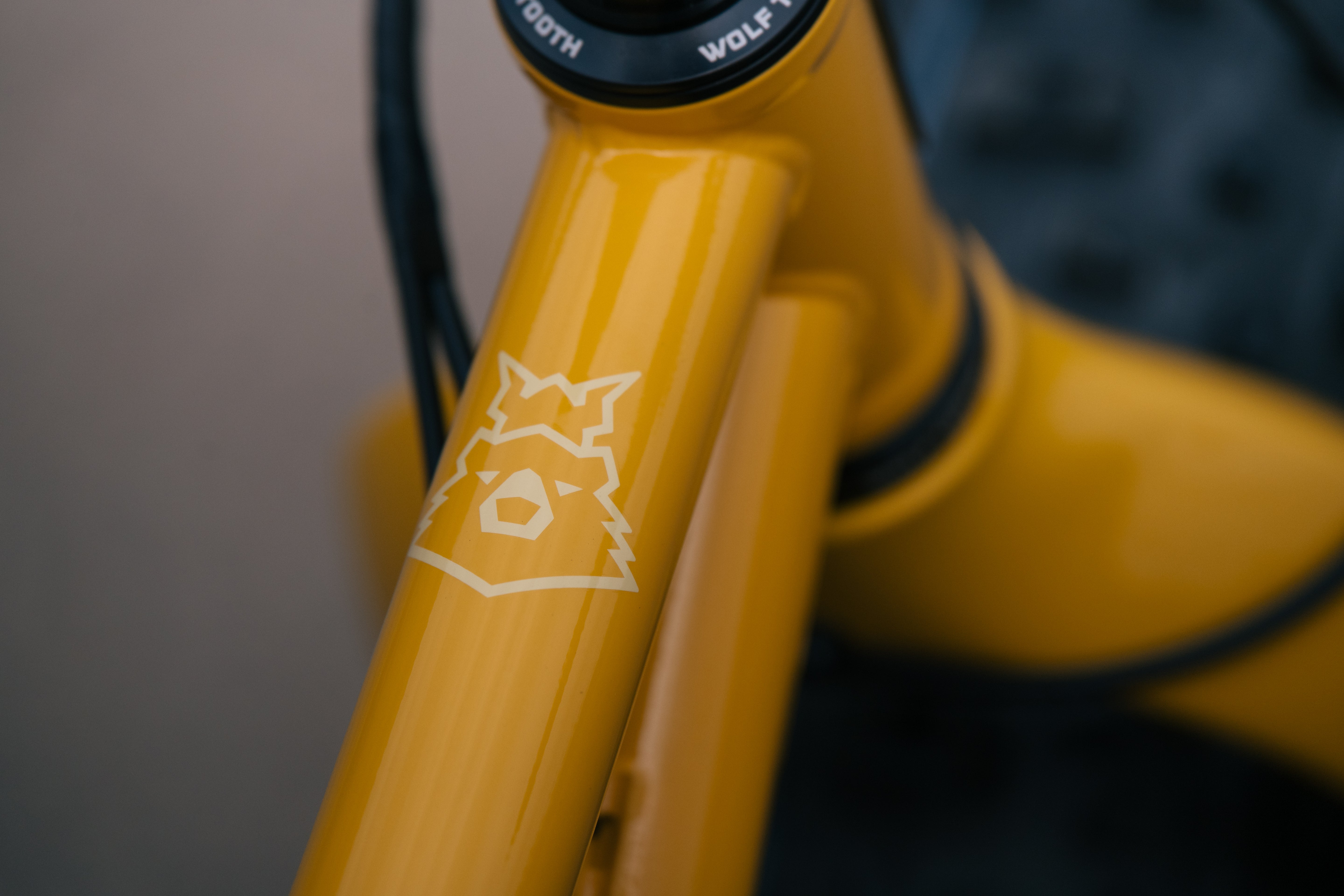 Arctodus - LG - Exclusive Banana Slug Paint Sample - Shimano SLX
