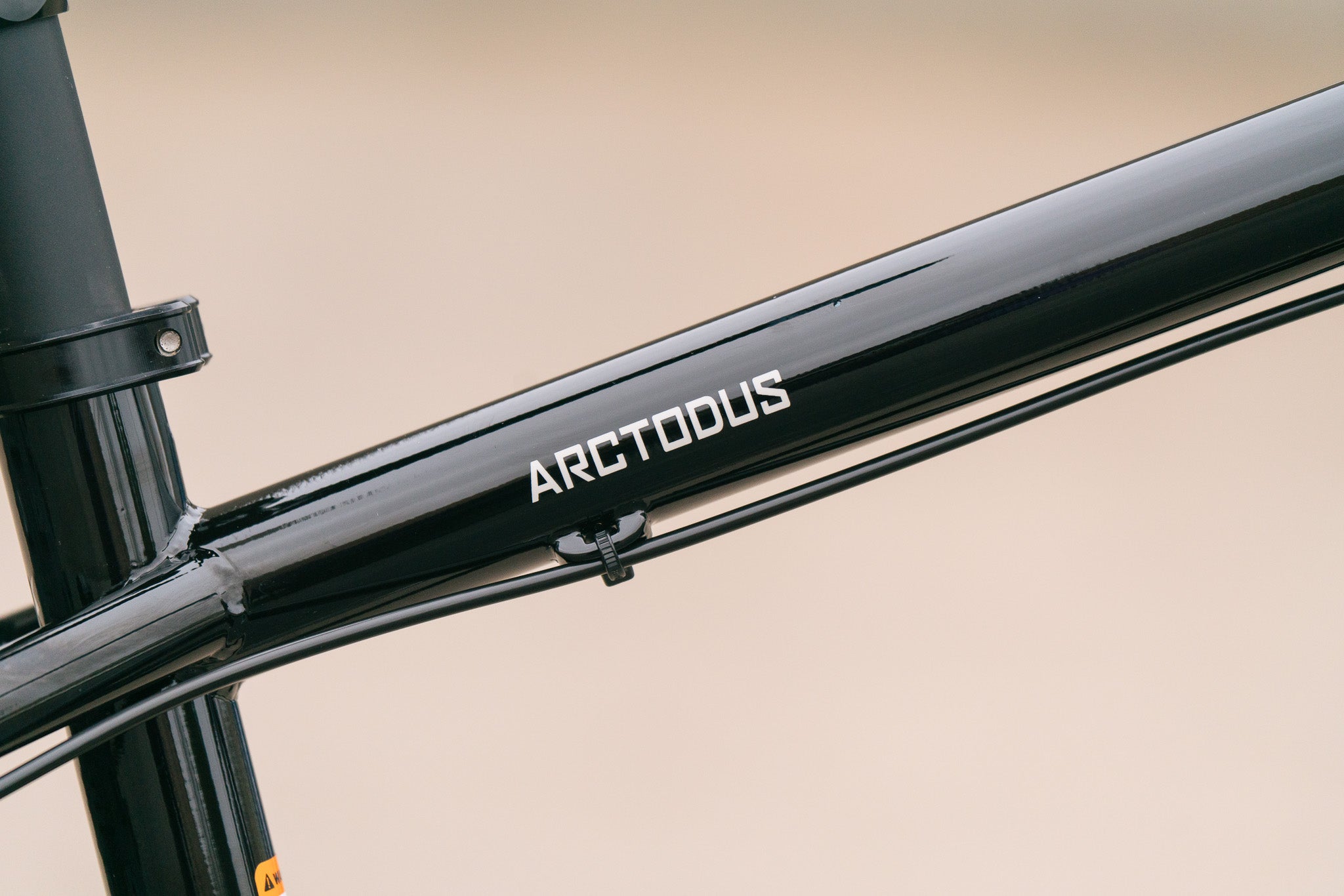 Arctodus - Black/Silver - Medium - Paint Blem/Demo w/ 1x12 SLX, carbon cranks, Fox dropper, studded tires
