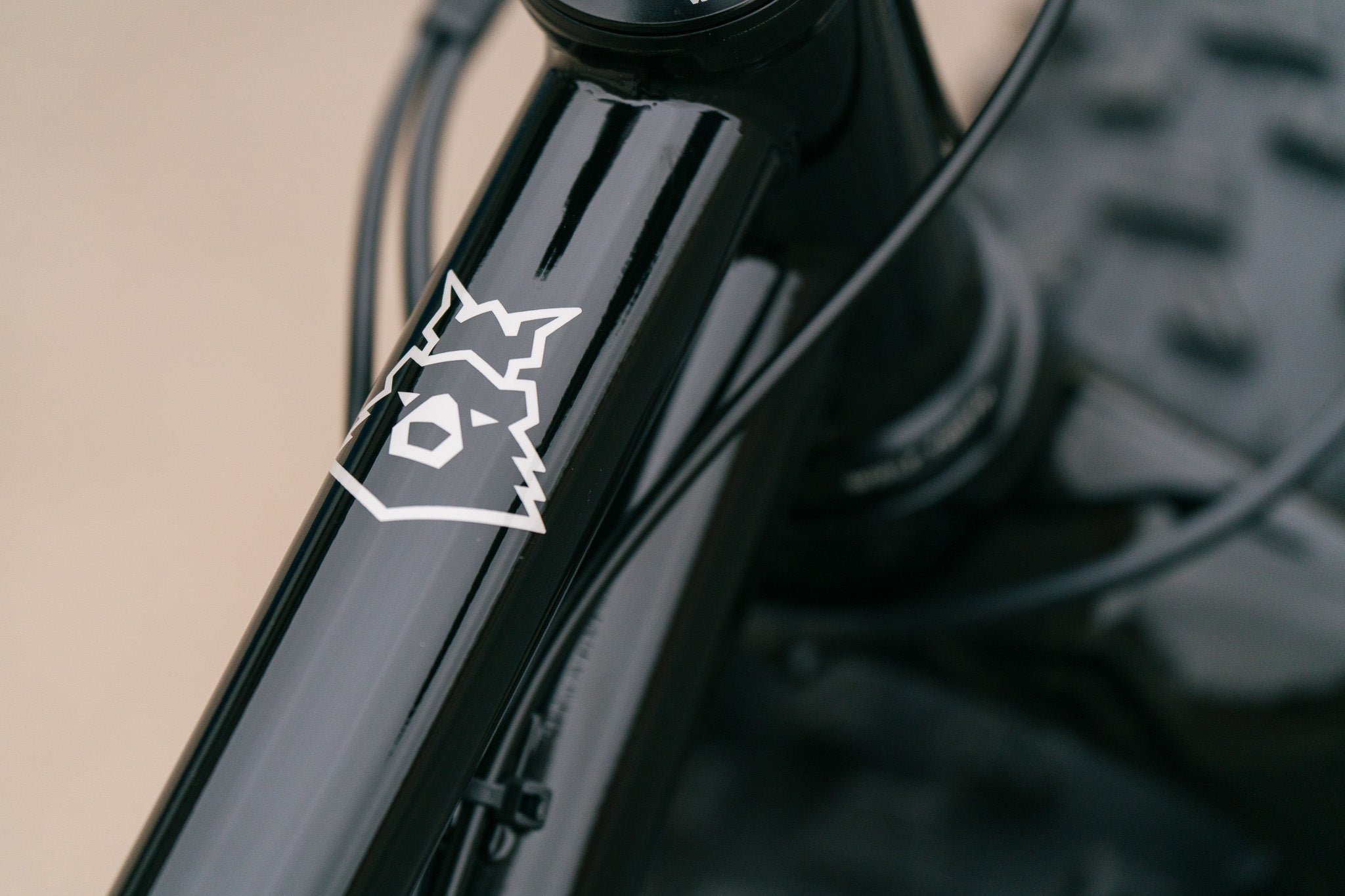 Arctodus - Black/Silver - Medium - Paint Blem/Demo w/ 1x12 SLX, carbon cranks, Fox dropper, studded tires