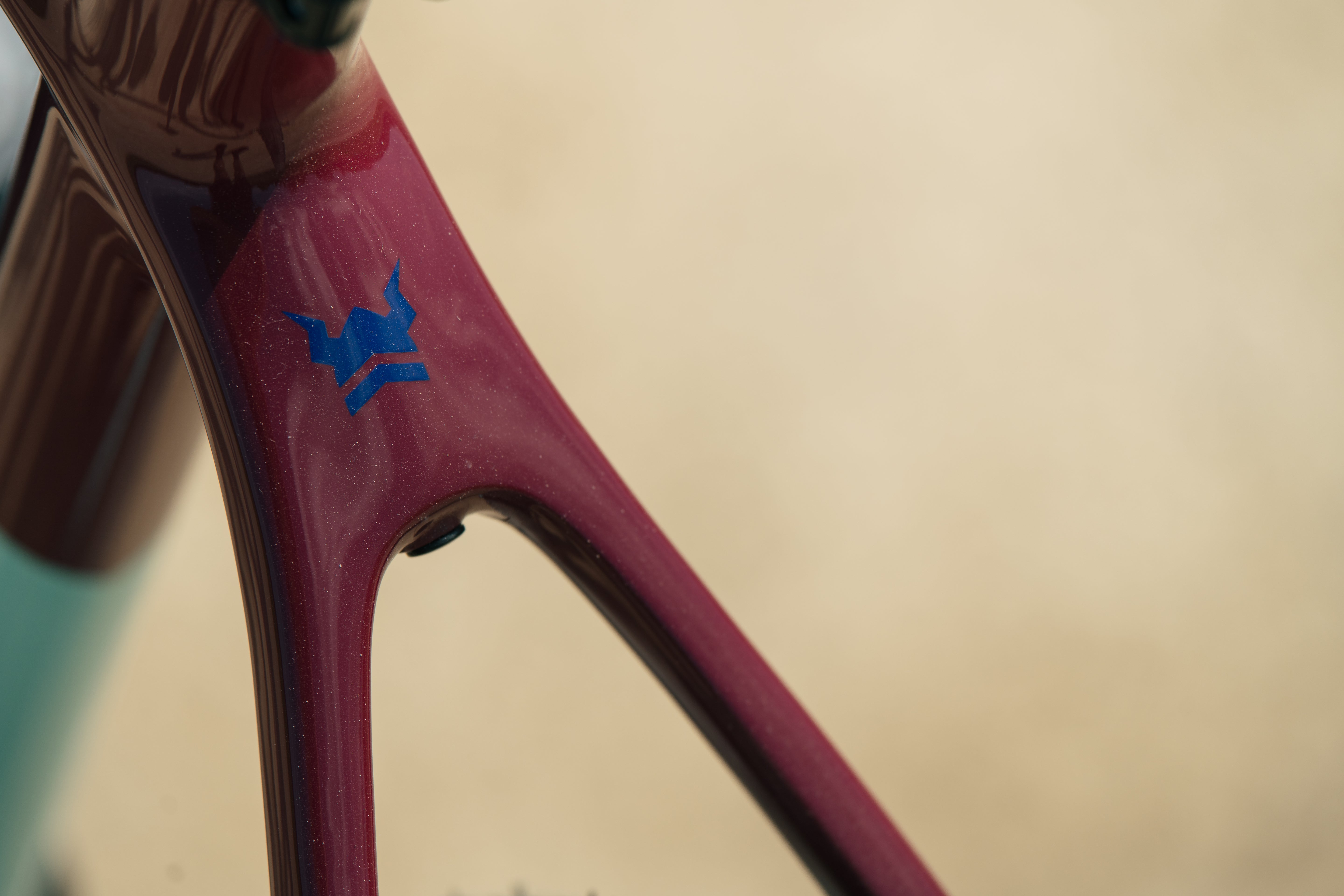 Waheela C - Seafoam/Maroon - Large - 1x12 SRAM Force - Photo Bike