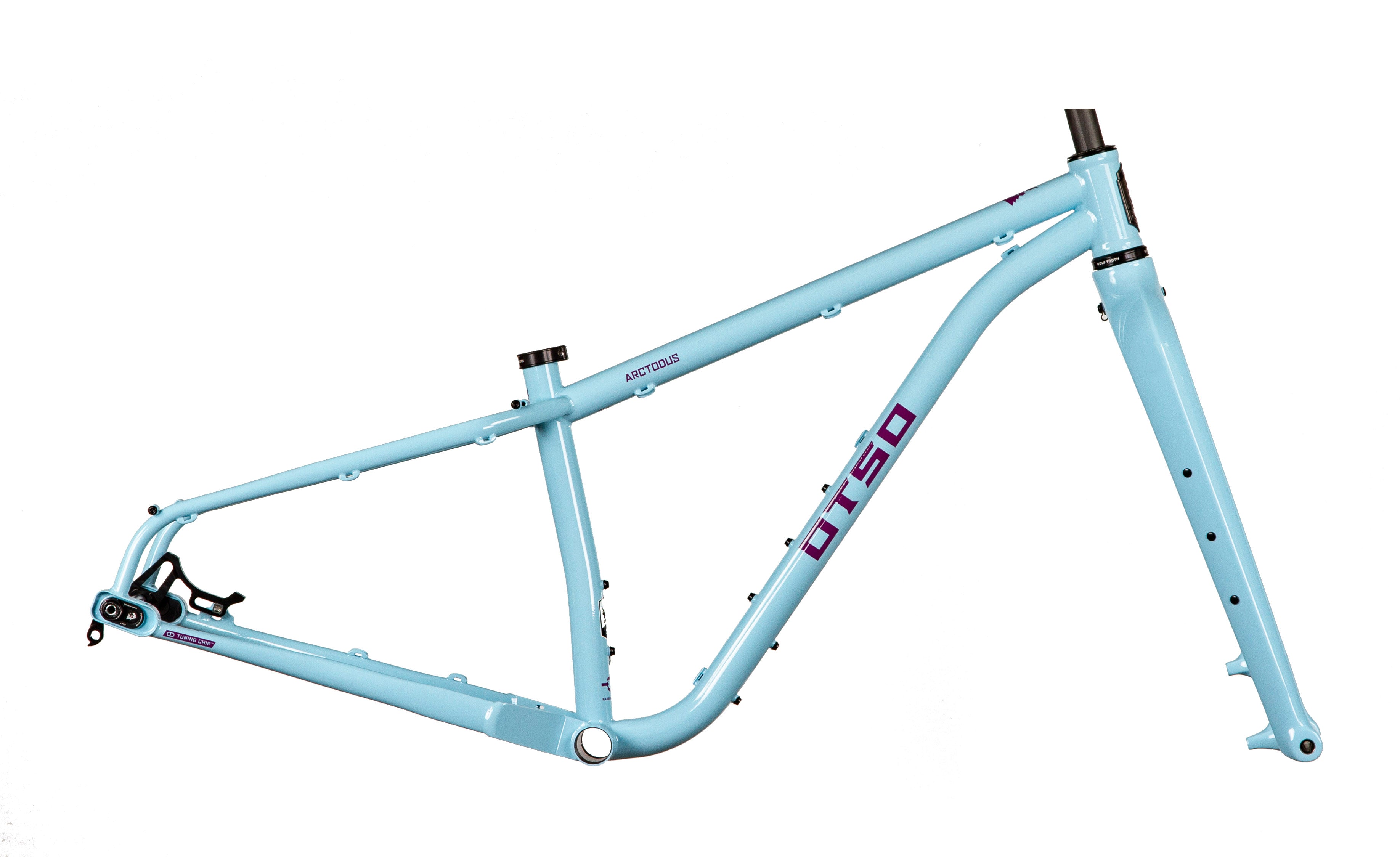 Arctodus Frameset