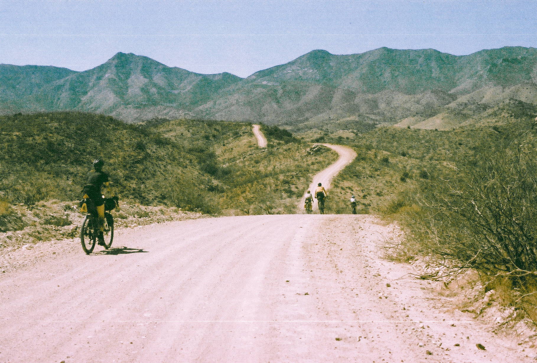 Sonoran Desert Scouting