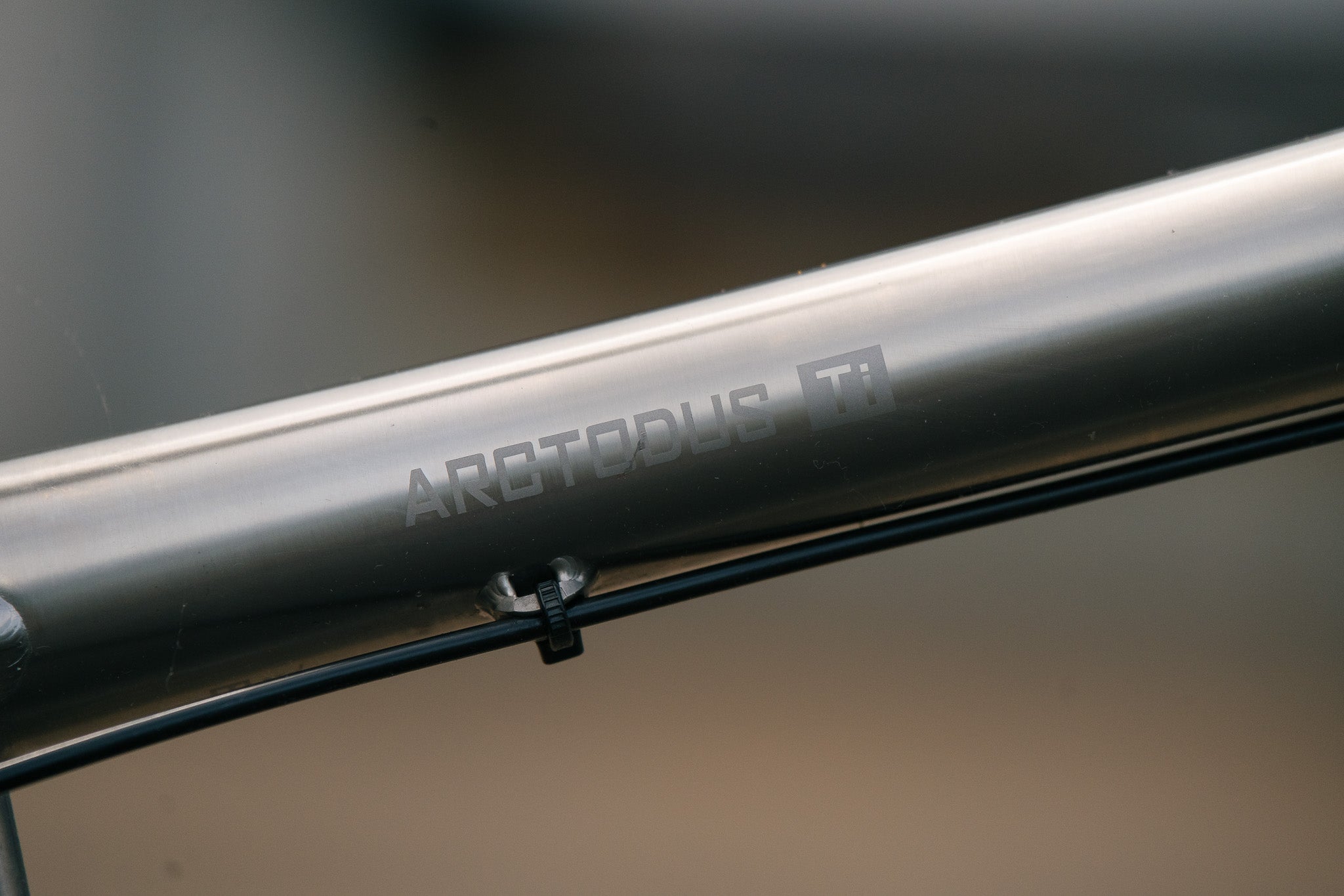 Arctodus Ti - Large - SRAM GX - Demo