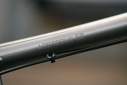 Arctodus Ti - Large - SRAM GX - Demo