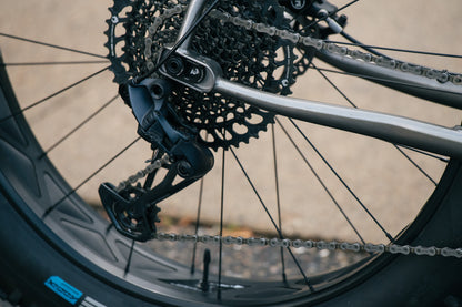 Arctodus Ti - Large - SRAM GX - Demo