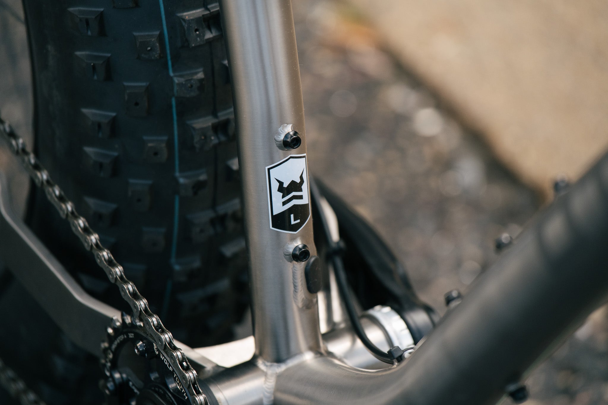 Arctodus Ti - Large - SRAM GX - Demo