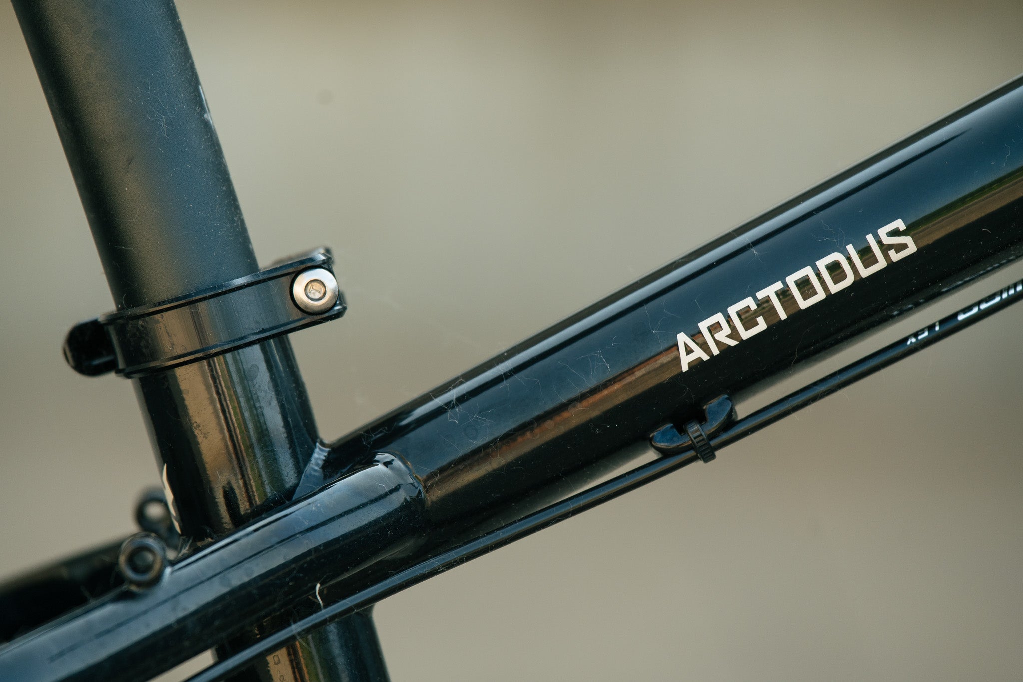Arctodus - Black/Silver - Small - Demo w/ 1x12 SLX