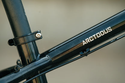 Arctodus - Black/Silver - Small - Demo w/ 1x12 SLX