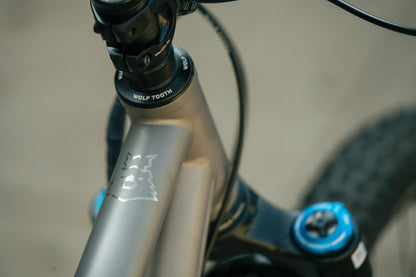 Hoot Ti - Large - Shimano SLX - Demo