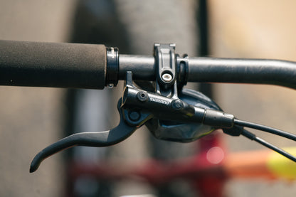 Voytek 2 - Neon Sunrise - Small - HED Carbon Wheels, SRAM GX, Dropper Post - Review bike