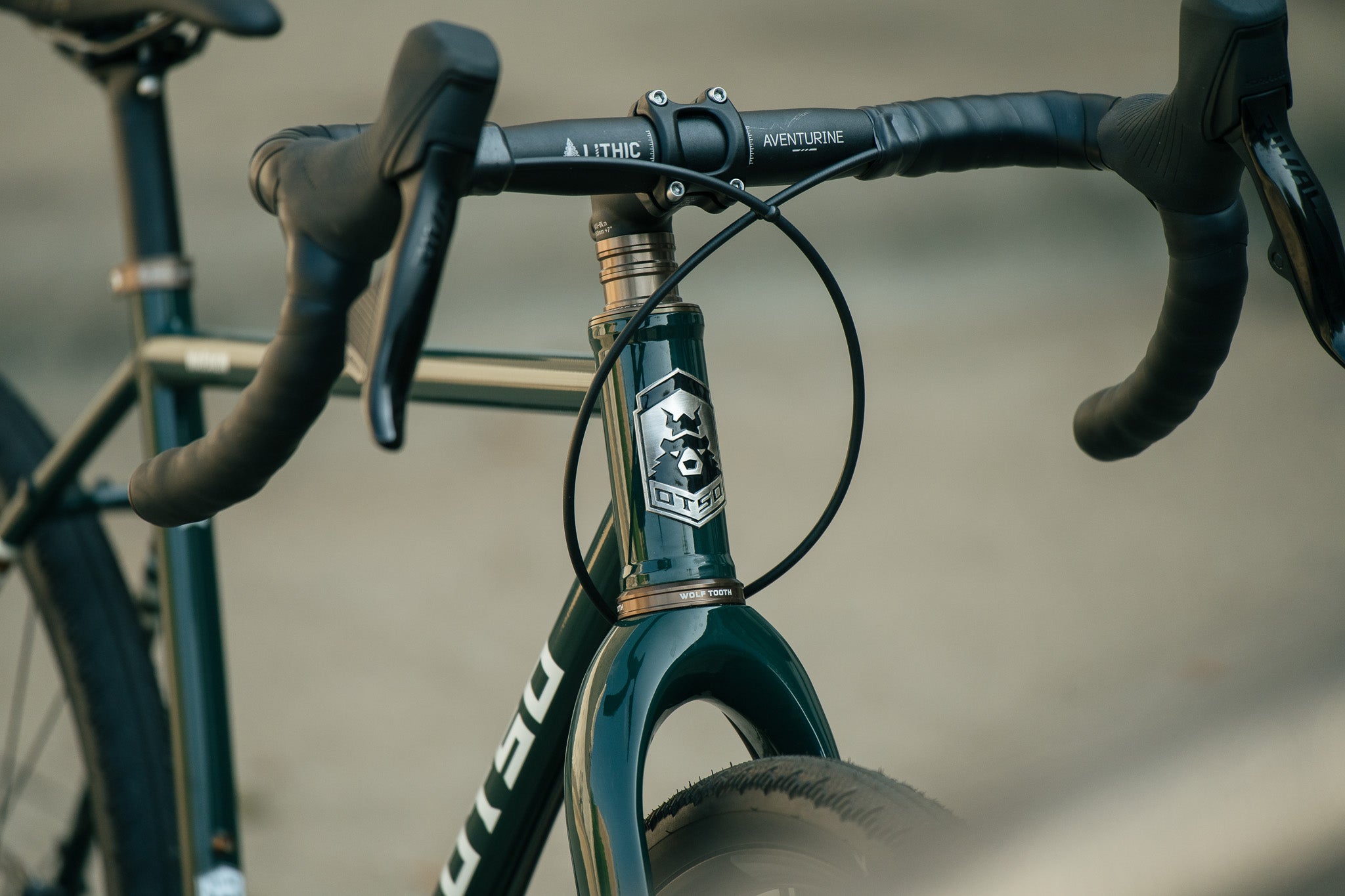 Warakin Racing Green - 54cm - 1x12 Rival AXS Mullet - Review Bike