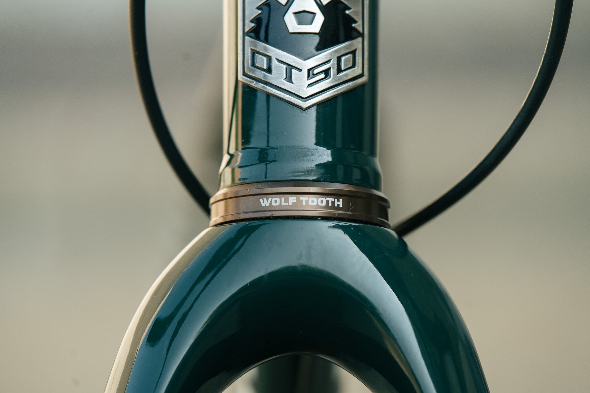 Warakin Racing Green - 54cm - 1x12 Rival AXS Mullet - Review Bike