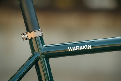 Warakin Racing Green - 54cm - 1x12 Rival AXS Mullet - Review Bike