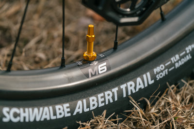 Hoot Ti - Large - SRAM XO T-Type  - Fancy Show Bike!