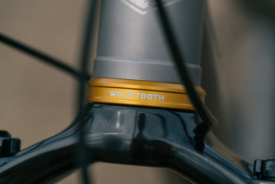 Hoot Ti - Large - SRAM XO T-Type  - Fancy Show Bike!