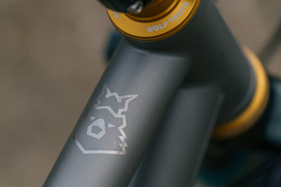 Hoot Ti - Large - SRAM XO T-Type  - Fancy Show Bike!