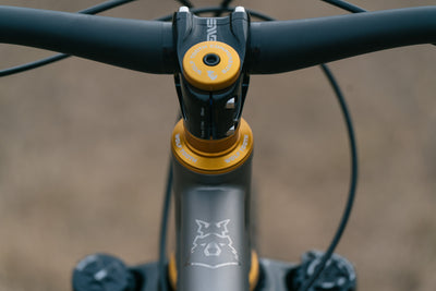 Hoot Ti - Large - SRAM XO T-Type  - Fancy Show Bike!