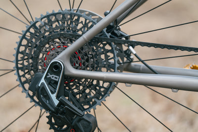 Hoot Ti - Large - SRAM XO T-Type  - Fancy Show Bike!