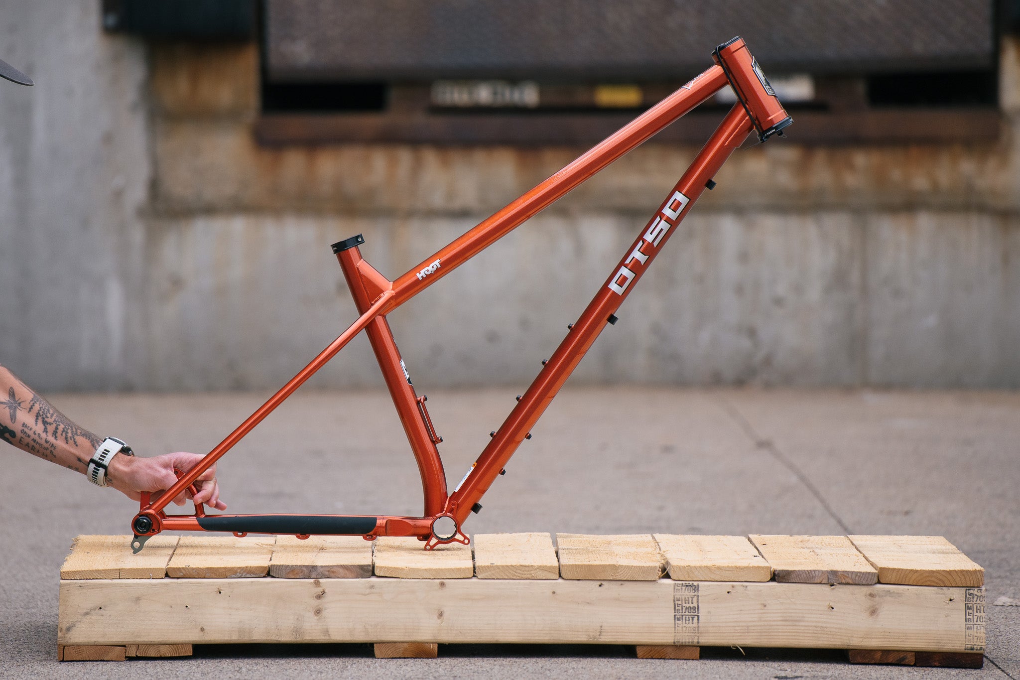 Hoot Steel - LG - Sparkly Bronze - Blem Frame