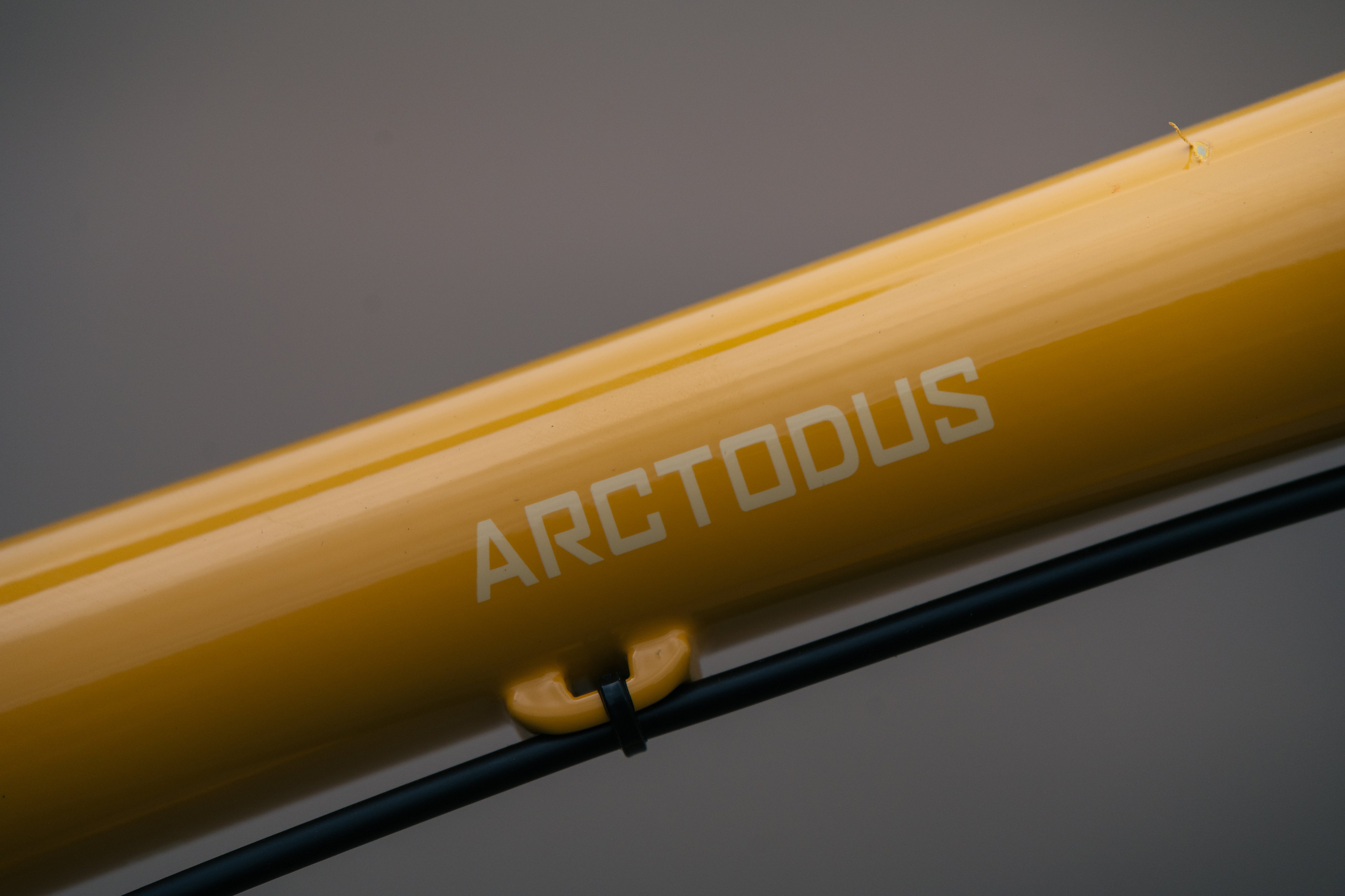 Arctodus - LG - Exclusive Banana Slug Paint Sample - Shimano SLX