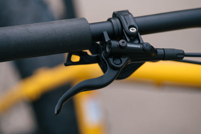 Arctodus - LG - Exclusive Banana Slug Paint Sample - Shimano SLX
