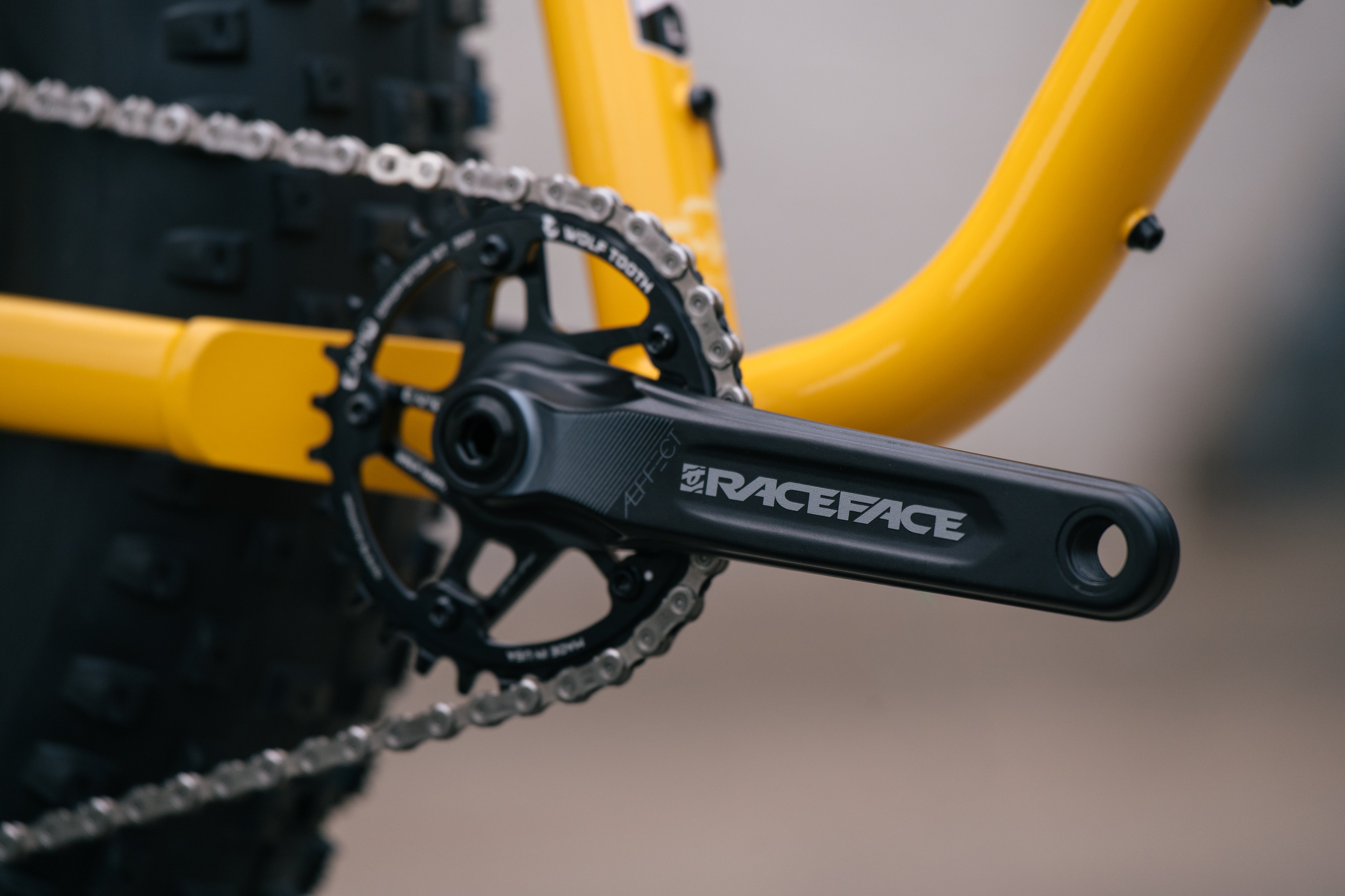 Arctodus - LG - Exclusive Banana Slug Paint Sample - Shimano SLX