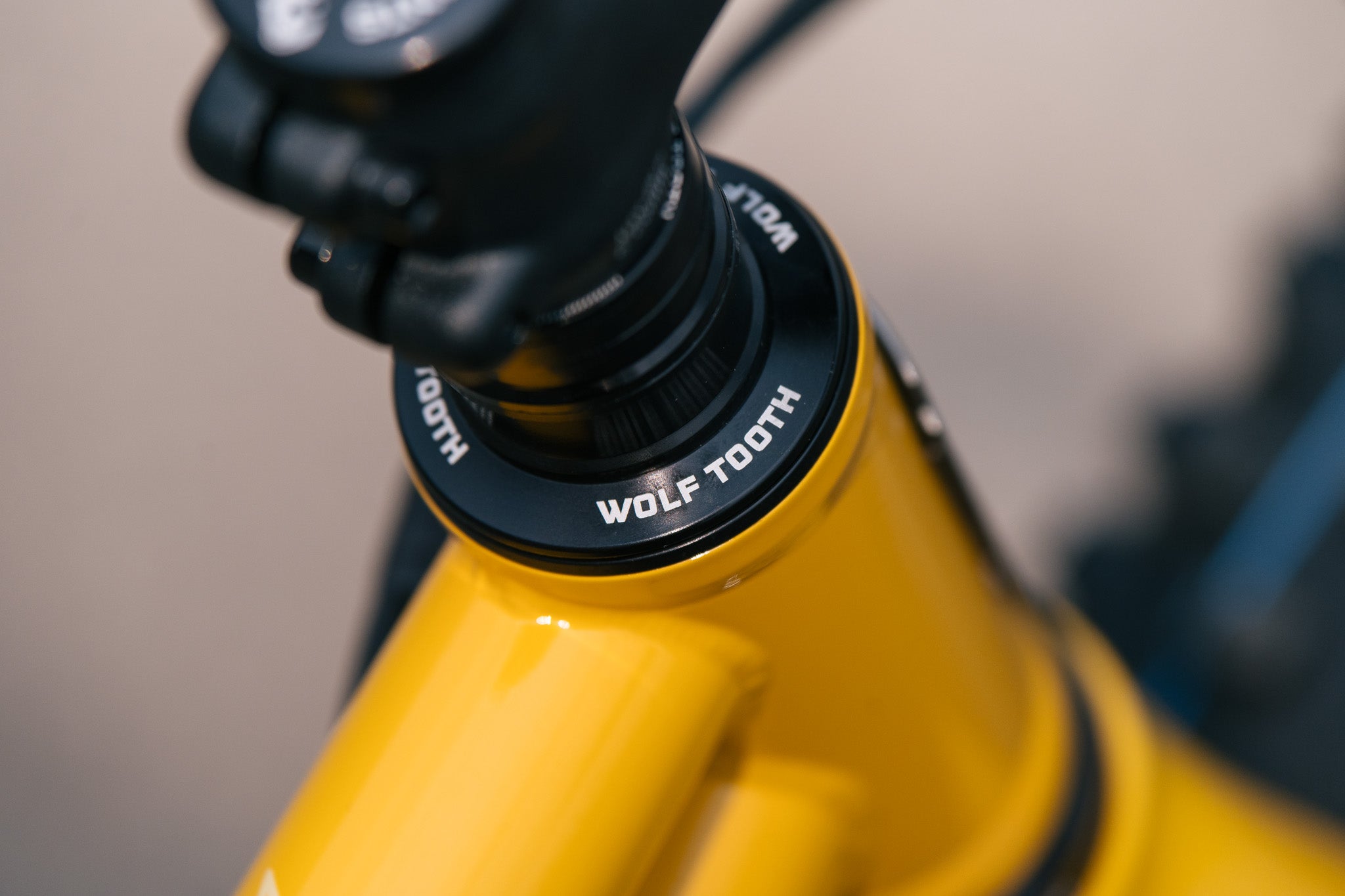 Arctodus - MD - Exclusive Banana Slug Paint Sample - Shimano SLX