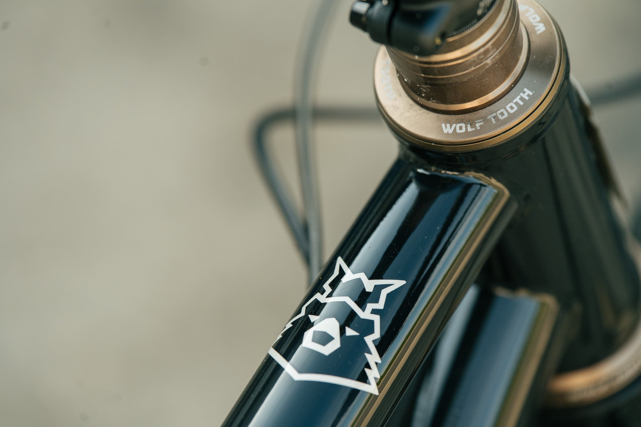 Arctodus - Black/Silver - XL - Demo w/ SRAM GX, HED Big Half Aluminum 27.5 wheels