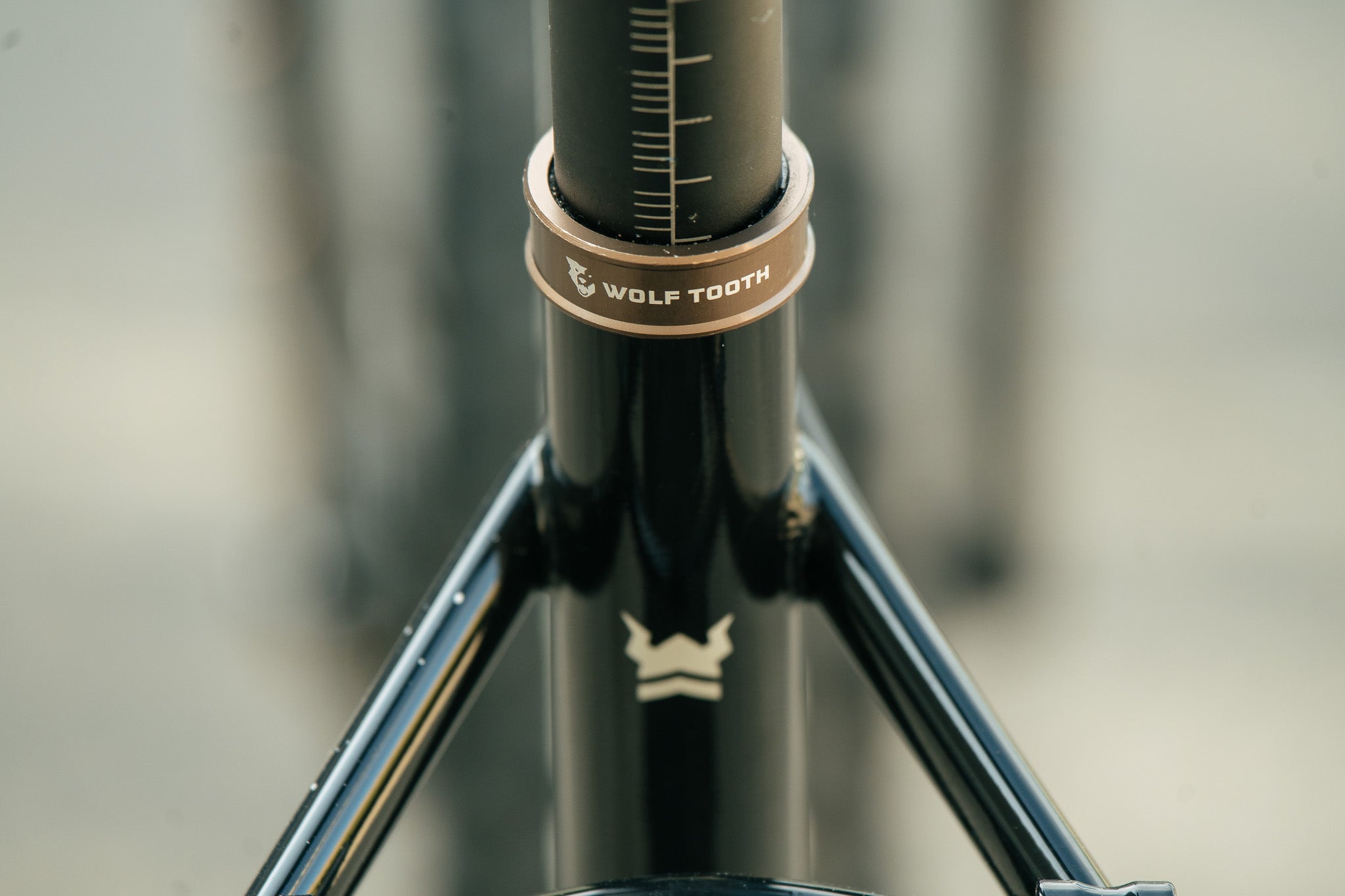 Arctodus - Black/Silver - XL - Demo w/ SRAM GX, HED Big Half Aluminum 27.5 wheels