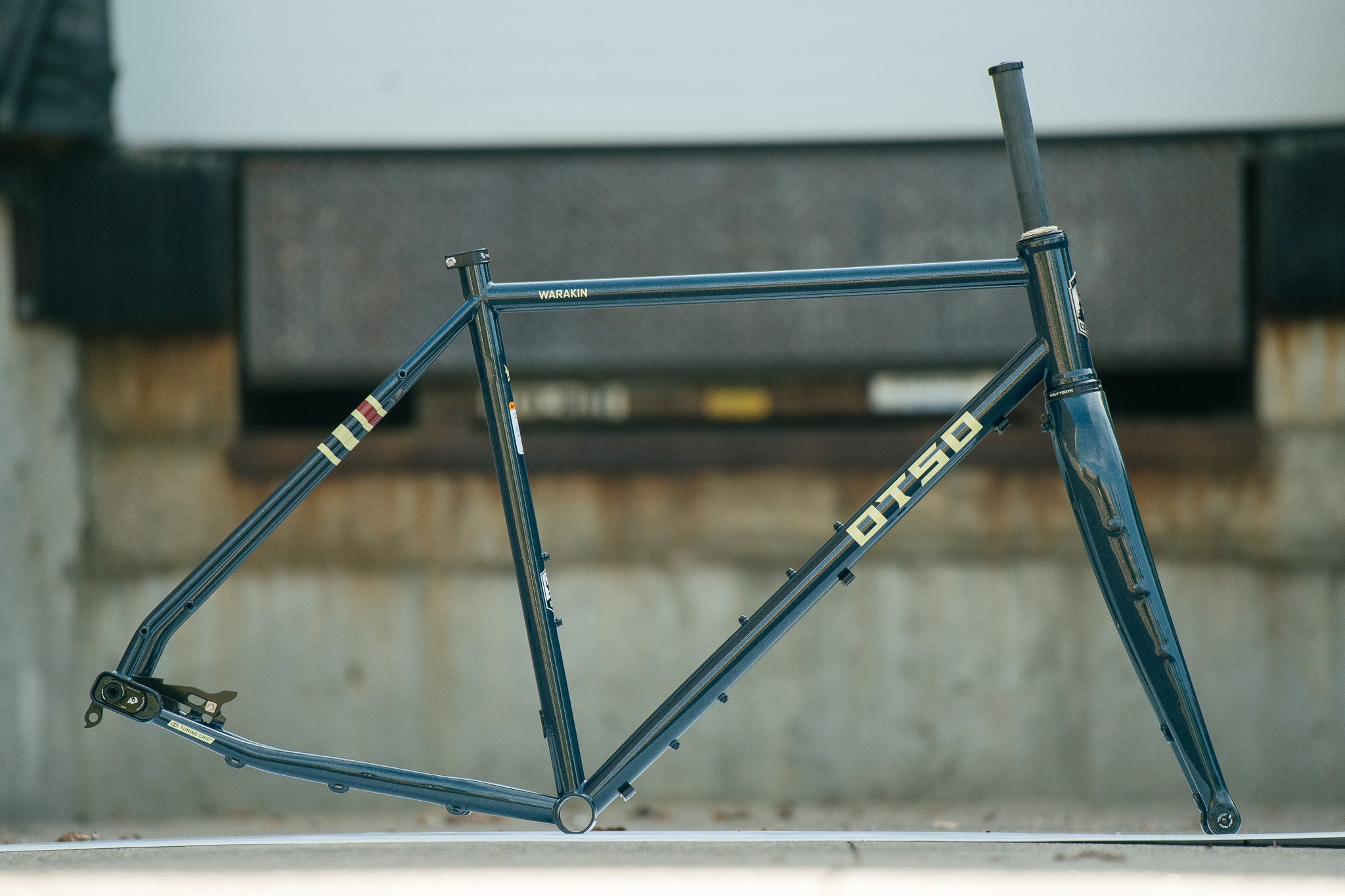 Warakin - 56cm - Exclusive Navy Gold Paint Sample - Frameset