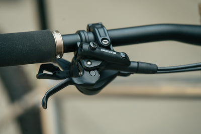 Fenrir Stainless - Large - Shimano SLX - Demo
