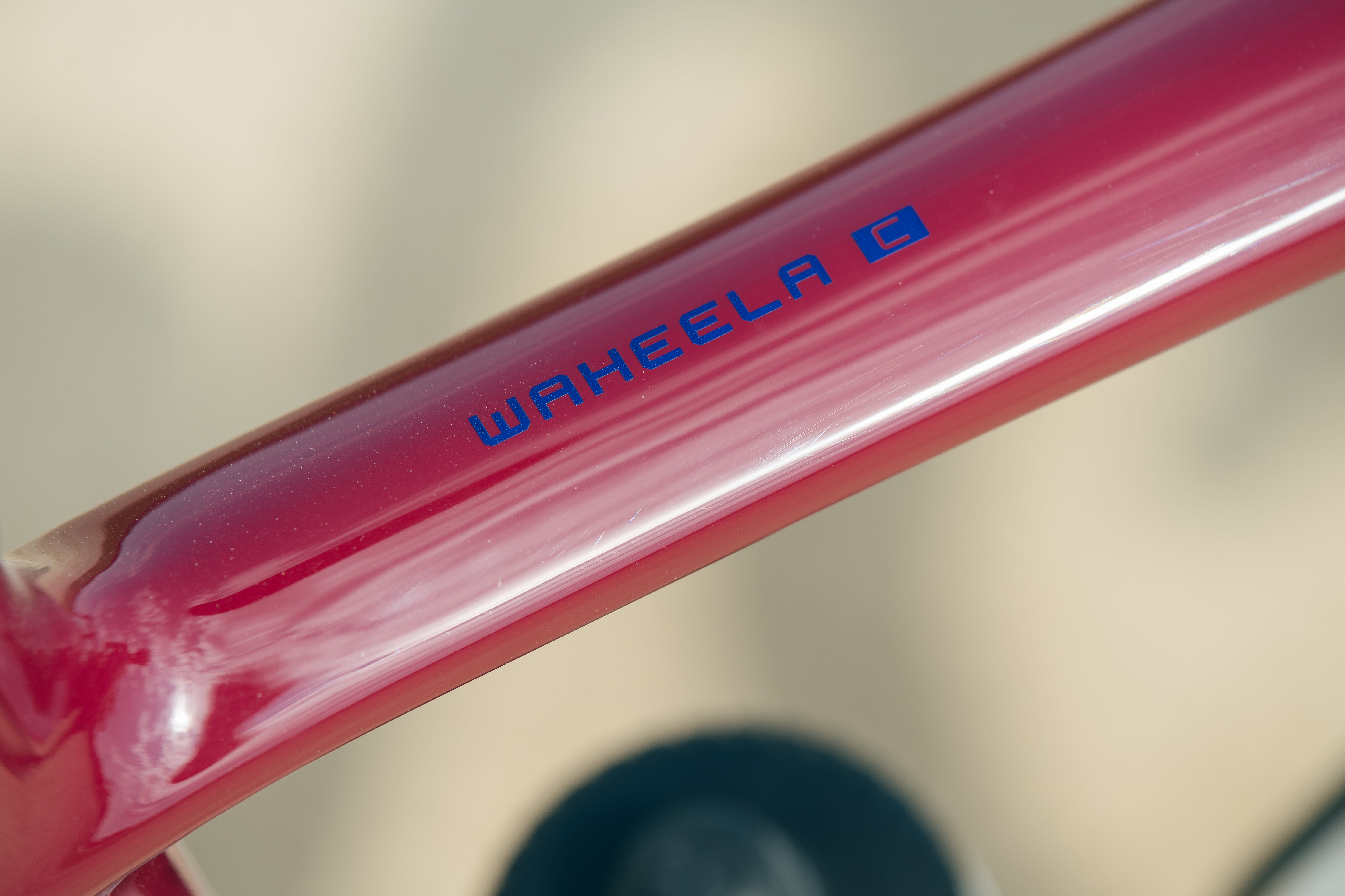 Waheela C - Seafoam/Maroon - Large - 1x12 SRAM Force - Photo Bike