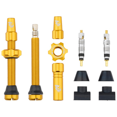 Tubeless Presta Valve Stem Kit