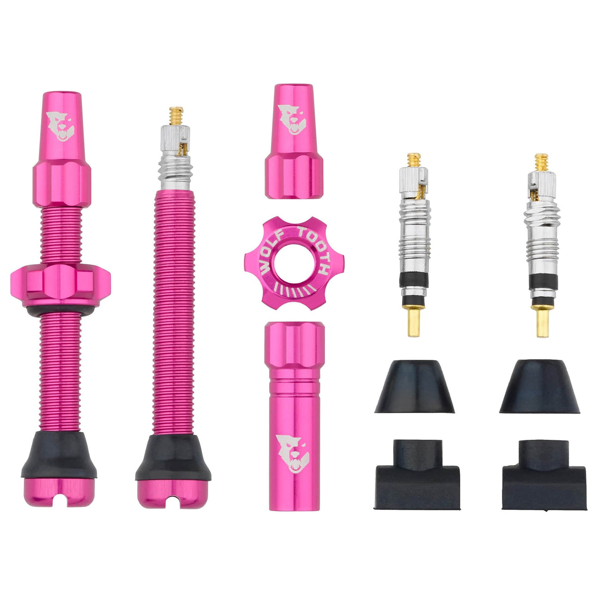 Tubeless Presta Valve Stem Kit